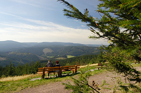 Kickelhahn