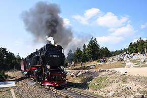 Harz – Natur und Kultur erleben